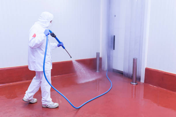 Best Sidewalk and Walkway Cleaning  in Big Pine, CA